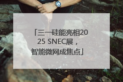 三一硅能亮相2025 SNEC展，智能微网成焦点