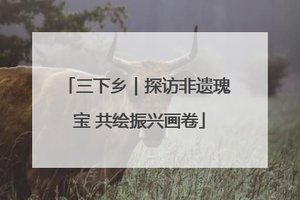 三下乡｜探访非遗瑰宝 共绘振兴画卷
