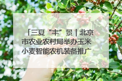 三夏“丰”景｜北京市农业农村局举办玉米小麦智能农机装备推广“田间日”活动