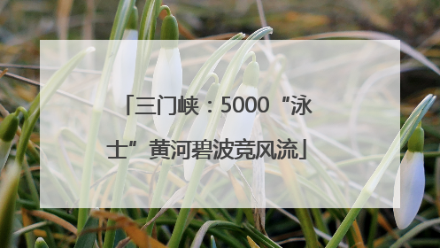 三门峡：5000“泳士”黄河碧波竞风流