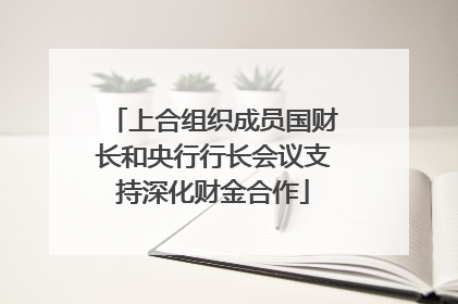 上合组织成员国财长和央行行长会议支持深化财金合作