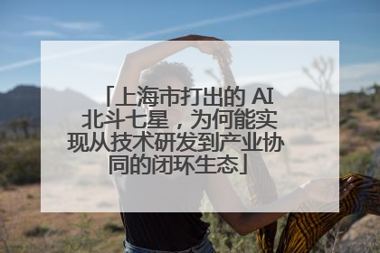 上海市打出的 AI 北斗七星，为何能实现从技术研发到产业协同的闭环生态