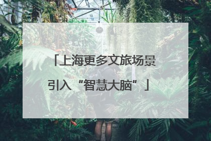 上海更多文旅场景引入“智慧大脑”