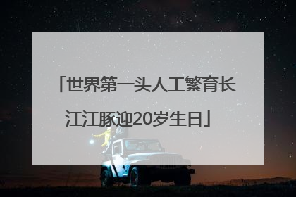 世界第一头人工繁育长江江豚迎20岁生日