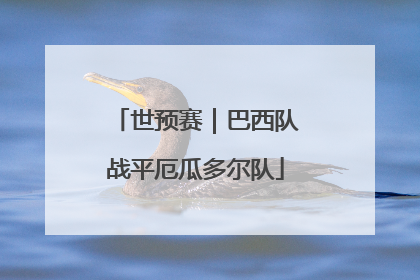 世预赛｜巴西队战平厄瓜多尔队