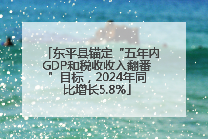 东平县锚定“五年内GDP和税收收入翻番”目标，2024年同比增长5.8%