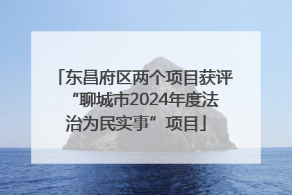 东昌府区两个项目获评“聊城市2024年度法治为民实事”项目