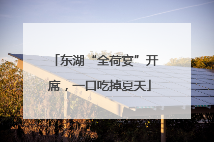 东湖“全荷宴”开席，一口吃掉夏天