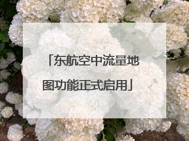 东航空中流量地图功能正式启用