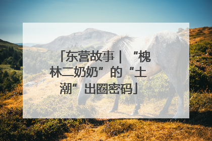 东营故事｜“槐林二奶奶”的“土潮”出圈密码