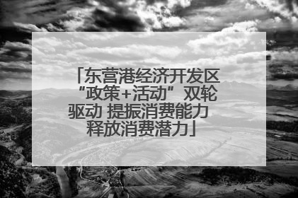 东营港经济开发区“政策+活动”双轮驱动 提振消费能力 释放消费潜力
