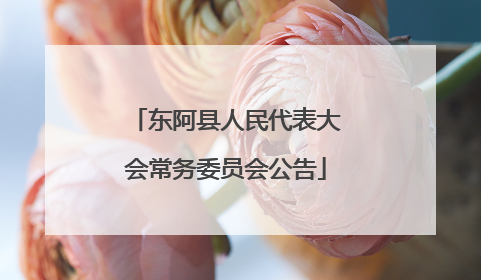 东阿县人民代表大会常务委员会公告