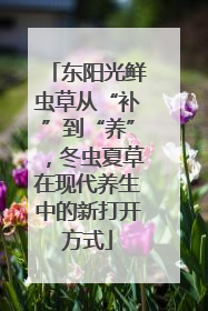 东阳光鲜虫草从“补”到“养”，冬虫夏草在现代养生中的新打开方式