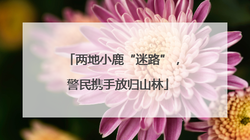 两地小鹿“迷路”，警民携手放归山林
