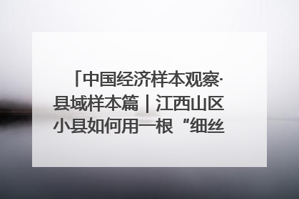 中国经济样本观察·县域样本篇｜江西山区小县如何用一根“细丝”拉出百亿级产业？
