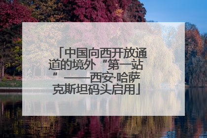 中国向西开放通道的境外“第一站”——西安·哈萨克斯坦码头启用