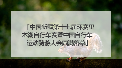 中国新疆第十七届环赛里木湖自行车赛暨中国自行车运动骑游大会圆满落幕