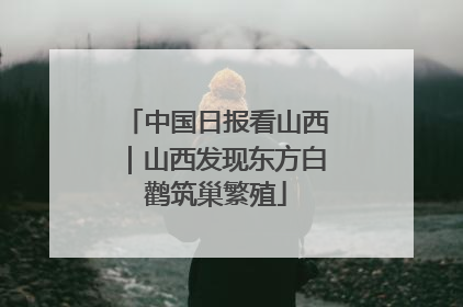 中国日报看山西｜山西发现东方白鹳筑巢繁殖