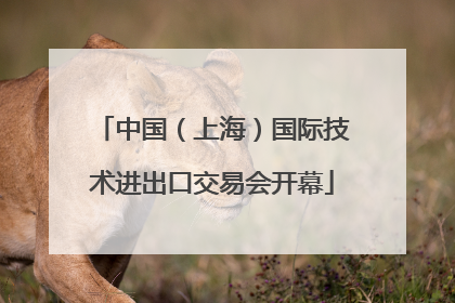 中国（上海）国际技术进出口交易会开幕