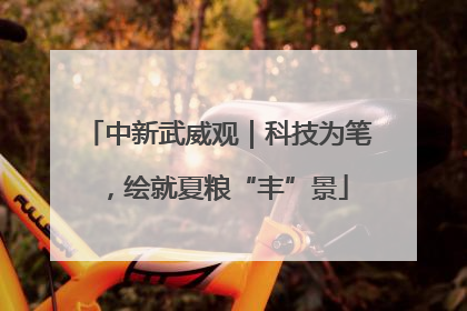 中新武威观｜科技为笔，绘就夏粮“丰”景