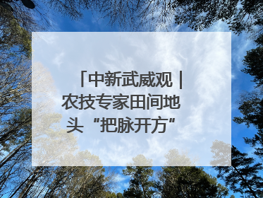 中新武威观｜农技专家田间地头“把脉开方”送“及时雨”