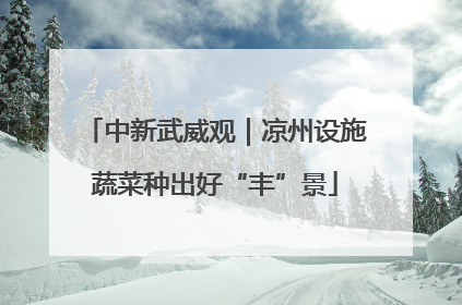 中新武威观｜凉州设施蔬菜种出好“丰”景