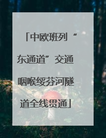 中欧班列“东通道”交通咽喉绥芬河隧道全线贯通