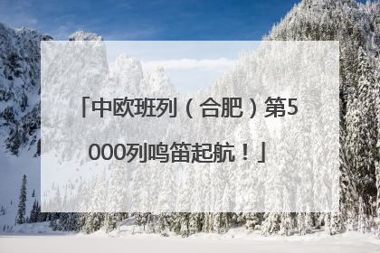 中欧班列（合肥）第5000列鸣笛起航！