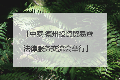 中泰·德州投资贸易暨法律服务交流会举行