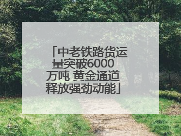 中老铁路货运量突破6000万吨 黄金通道释放强劲动能