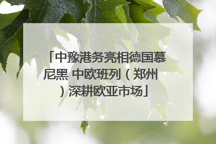 中豫港务亮相德国慕尼黑 中欧班列（郑州）深耕欧亚市场