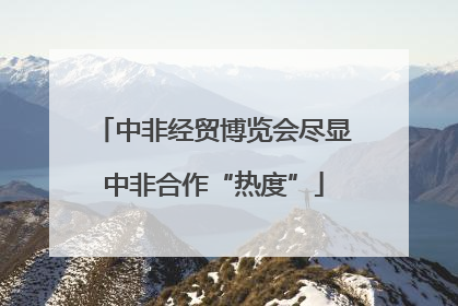 中非经贸博览会尽显中非合作“热度”
