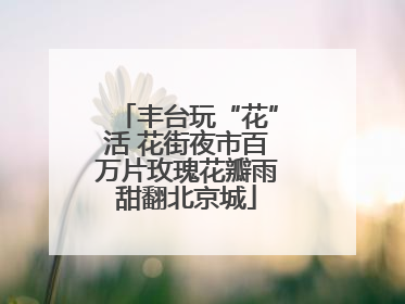 丰台玩“花”活 花街夜市百万片玫瑰花瓣雨甜翻北京城