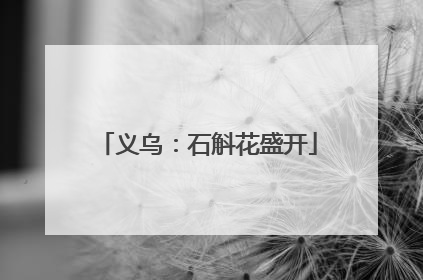 义乌：石斛花盛开