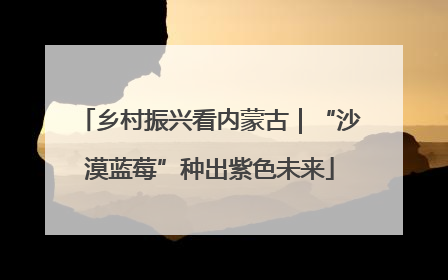 乡村振兴看内蒙古｜“沙漠蓝莓”种出紫色未来