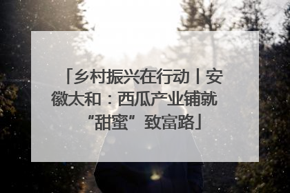 乡村振兴在行动丨安徽太和：西瓜产业铺就“甜蜜”致富路