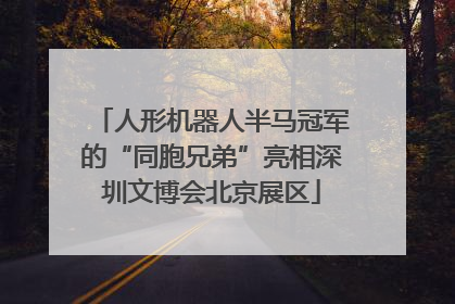 人形机器人半马冠军的“同胞兄弟”亮相深圳文博会北京展区