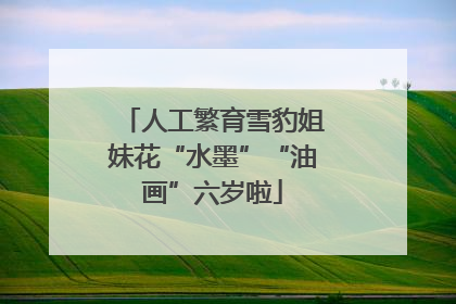人工繁育雪豹姐妹花“水墨”“油画”六岁啦