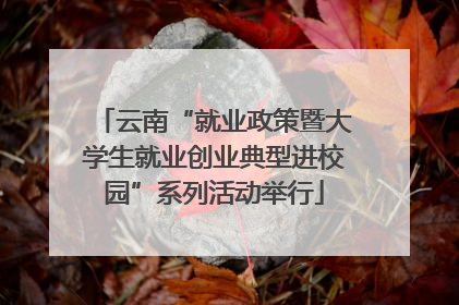 云南“就业政策暨大学生就业创业典型进校园”系列活动举行
