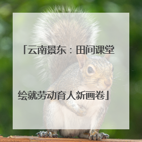 云南景东：田间课堂绘就劳动育人新画卷