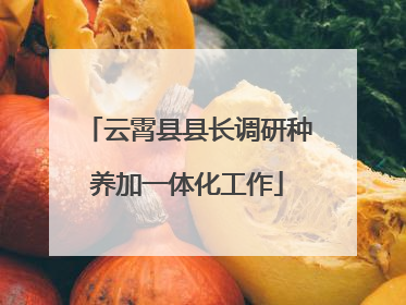 云霄县县长调研种养加一体化工作