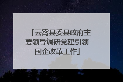 云霄县委县政府主要领导调研党建引领国企改革工作