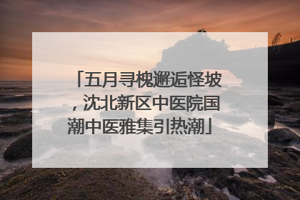 五月寻槐邂逅怪坡，沈北新区中医院国潮中医雅集引热潮