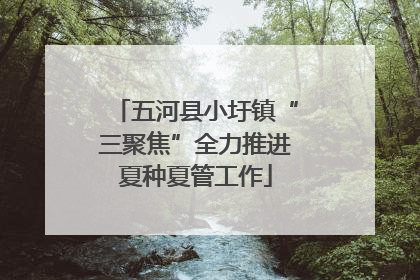 五河县小圩镇“三聚焦”全力推进夏种夏管工作