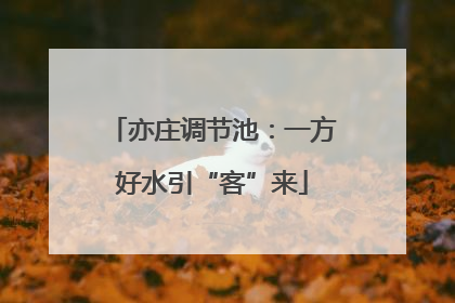 亦庄调节池：一方好水引“客”来