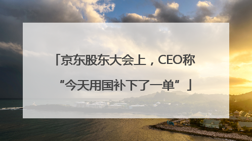 京东股东大会上，CEO称“今天用国补下了一单”