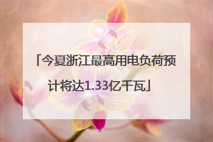 今夏浙江最高用电负荷预计将达1.33亿千瓦