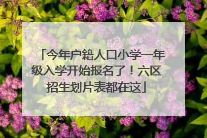 今年户籍人口小学一年级入学开始报名了！六区招生划片表都在这