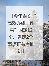 今年泰安“高效办成一件事”国定12个、省定2个事项正有序推进