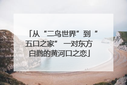 从“二鸟世界”到“五口之家” 一对东方白鹳的黄河口之恋